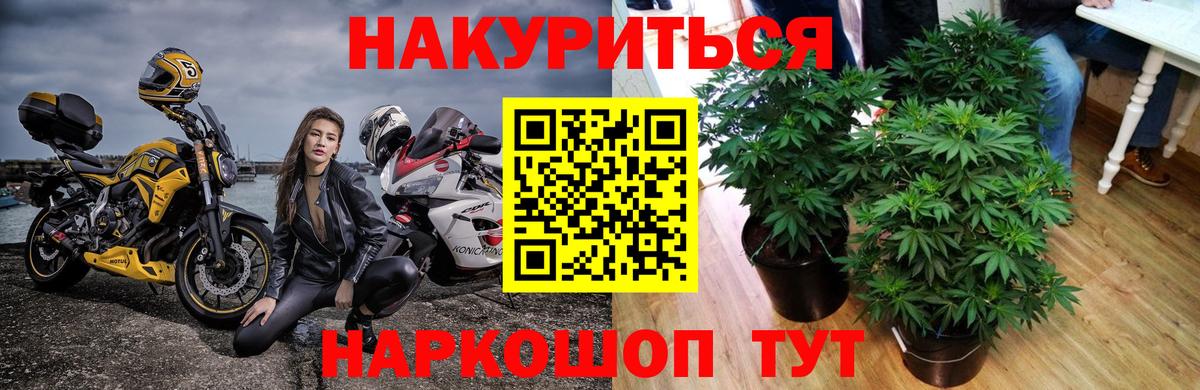 Каннабис сатива  Шишки марихуана White Widow  Конопля ГИДРОПОН  Новошахтинск  Вход с VPN  Бошки марихуана THC 21% 